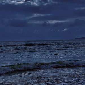 色色的视频网站
