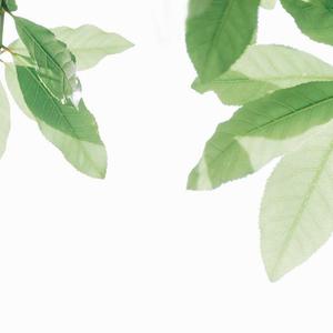 色色的视频网站
