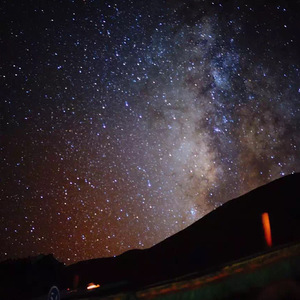 色色的视频网站
